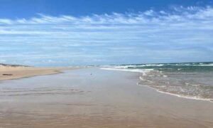 Retraite yoga surf cap ferret 14