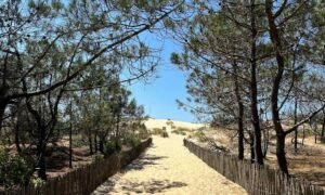 Retraite yoga surf cap ferret 8